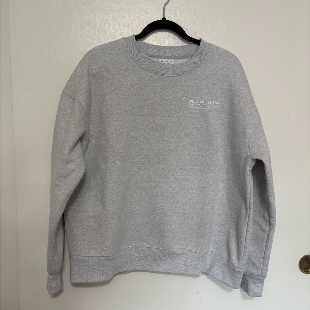 Wild Wellness Men's Gray Crewneck Sweater
